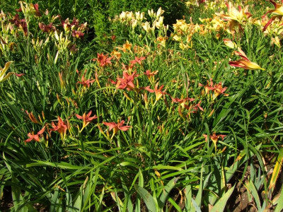 2020_0416MitteJuliHems0059.JPG