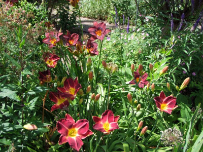 2020_0416MitteJuliHems0094.JPG