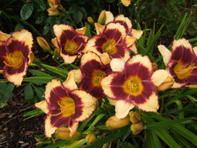 2020_0416MitteJuliHems0157.JPG