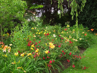 2020_0416MitteJuliHems0224.JPG