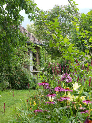 2020-07-16 Garteneinblick 2.jpg