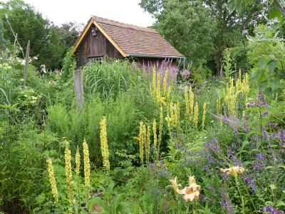 2020-07-16 Garteneinblick 6.jpg