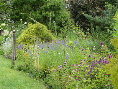 2020-07-16 Gartenimpressionen 2.jpg
