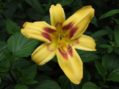 2020_041716MitteJuliHems0001.JPG