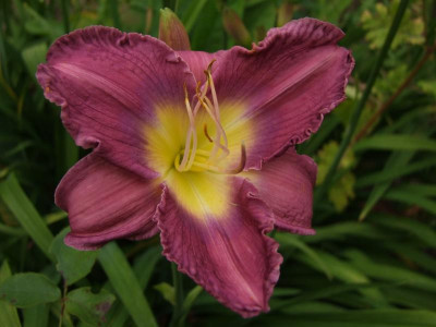 2020_041716MitteJuliHems0020.JPG