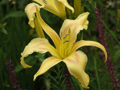2020_041716MitteJuliHems0035.JPG