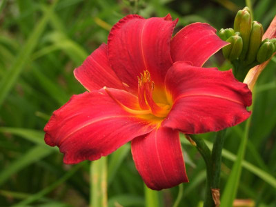 2020_041716MitteJuliHems0041.JPG