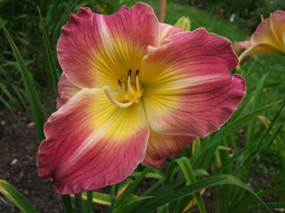 2020_041716MitteJuliHems0073.JPG