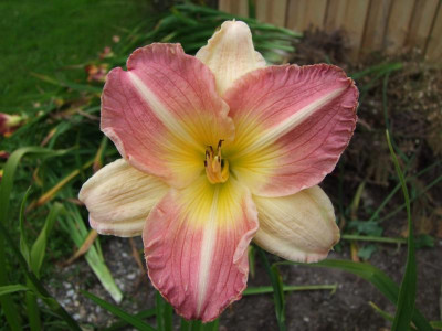 2020_041716MitteJuliHems0074.JPG