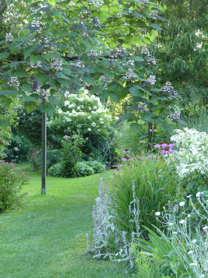 2020-07-18 Gartenimpressionen 6.jpg