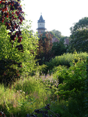 2020-07-18 Gartenimpressionen 7.jpg