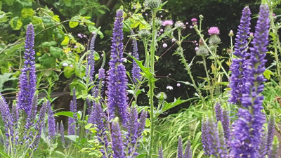 20200705_113303.jpg