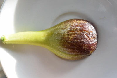 Bornholm Breba 007.JPG