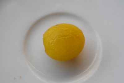 abgezogene Birkacher Prunus d 001.JPG
