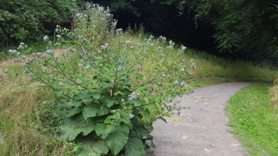 20200719_175425.jpg