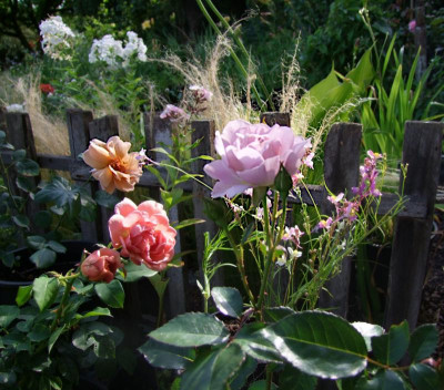 DSCF1504.JPG