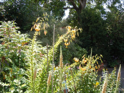 DSCN9892.JPG