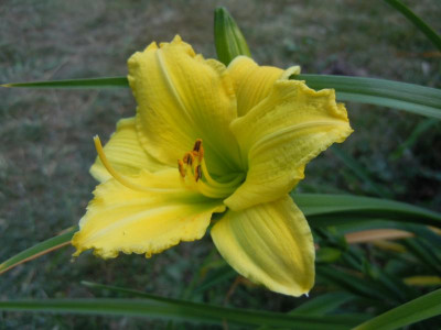 DSCN9868.JPG