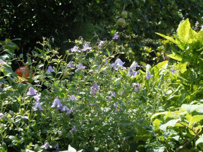 DSCN9882.JPG