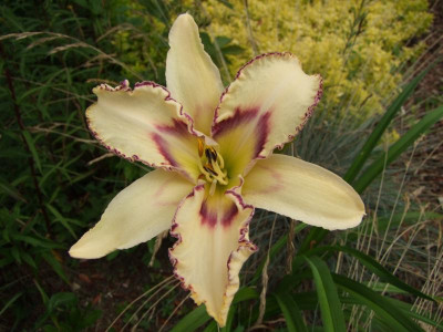 2020_0422Juligarten0107.JPG