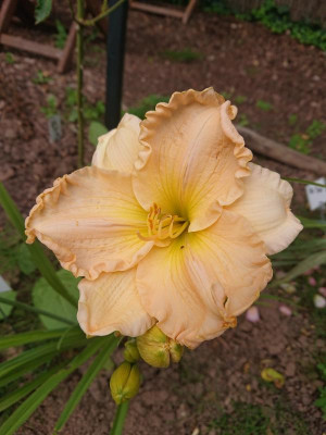 DSC_2357.JPG