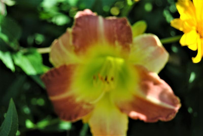 DSC_0440.JPG