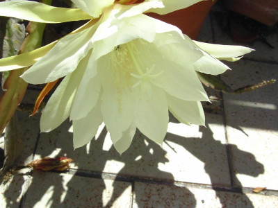 BILD0607.JPG