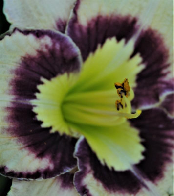 DSC_0456.JPG