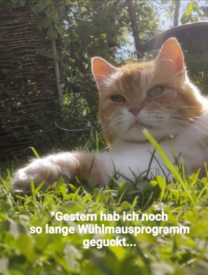 2020-07-24-08-19-37.jpg