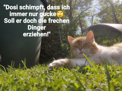 2020-07-24-08-22-40.jpg