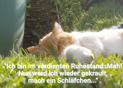2020-07-24-08-26-18.jpg