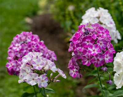 20200724_1.jpg