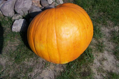 K640_100_4324.JPG