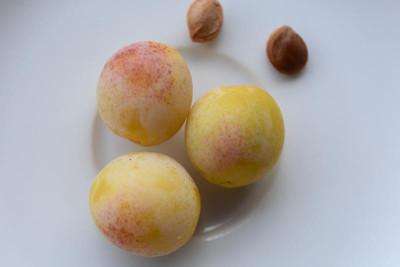 Mirabelle aus SH 001.JPG