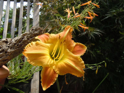 DSCN9925.JPG