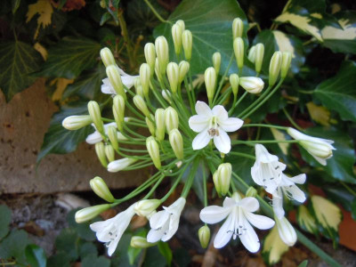 DSCN9909.JPG