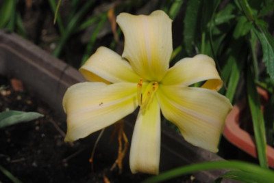 DSC_0544.JPG