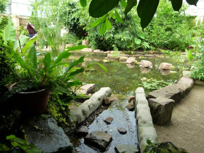 P1180242.JPG