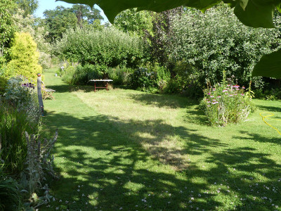 2020-07-26 Garteneinblick 3.jpg