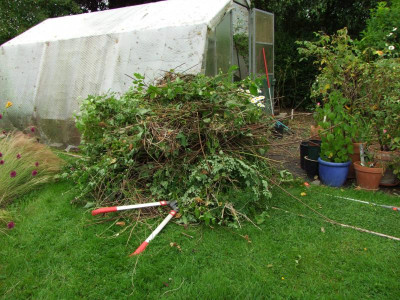 2020_0426JuliGewächshausbeet0017.JPG