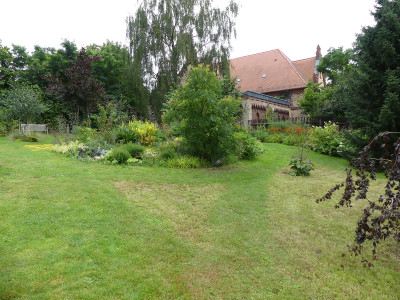 2020-07-27 Garteneinblick 5.jpg