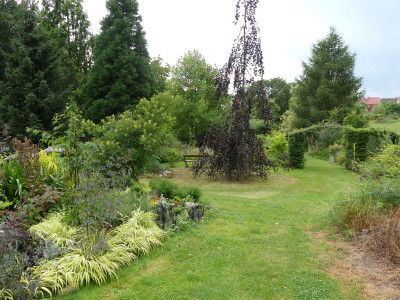 2020-07-27 Garteneinblick 6.jpg