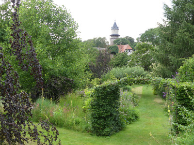 2020-07-27 Garteneinblick 7.jpg