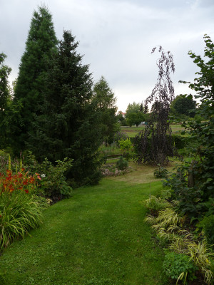 2020-07-27 Garteneinblick 11.jpg