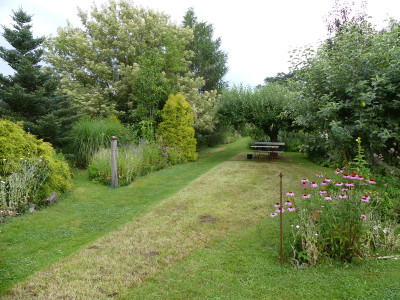 2020-07-27 Garteneinblick 9.jpg