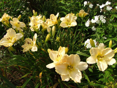2020_0428EndeJuliHems0017.JPG