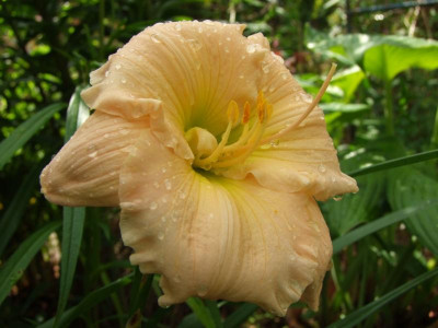 2020_0429EndeJuliHems10006.JPG