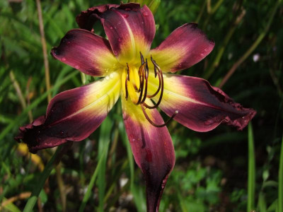 2020_0429EndeJuliHems10015.JPG