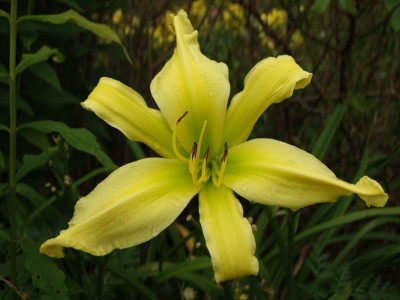 2020_0429EndeJuliHems10019.JPG