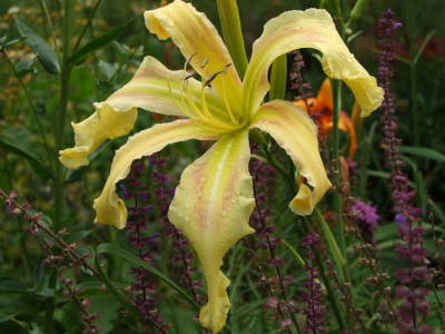 2020_0429EndeJuliHems10034.JPG